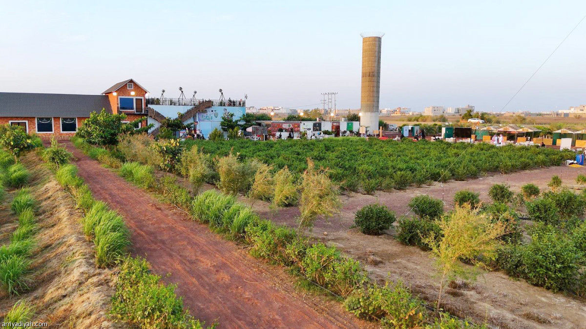 أجواء ريفية