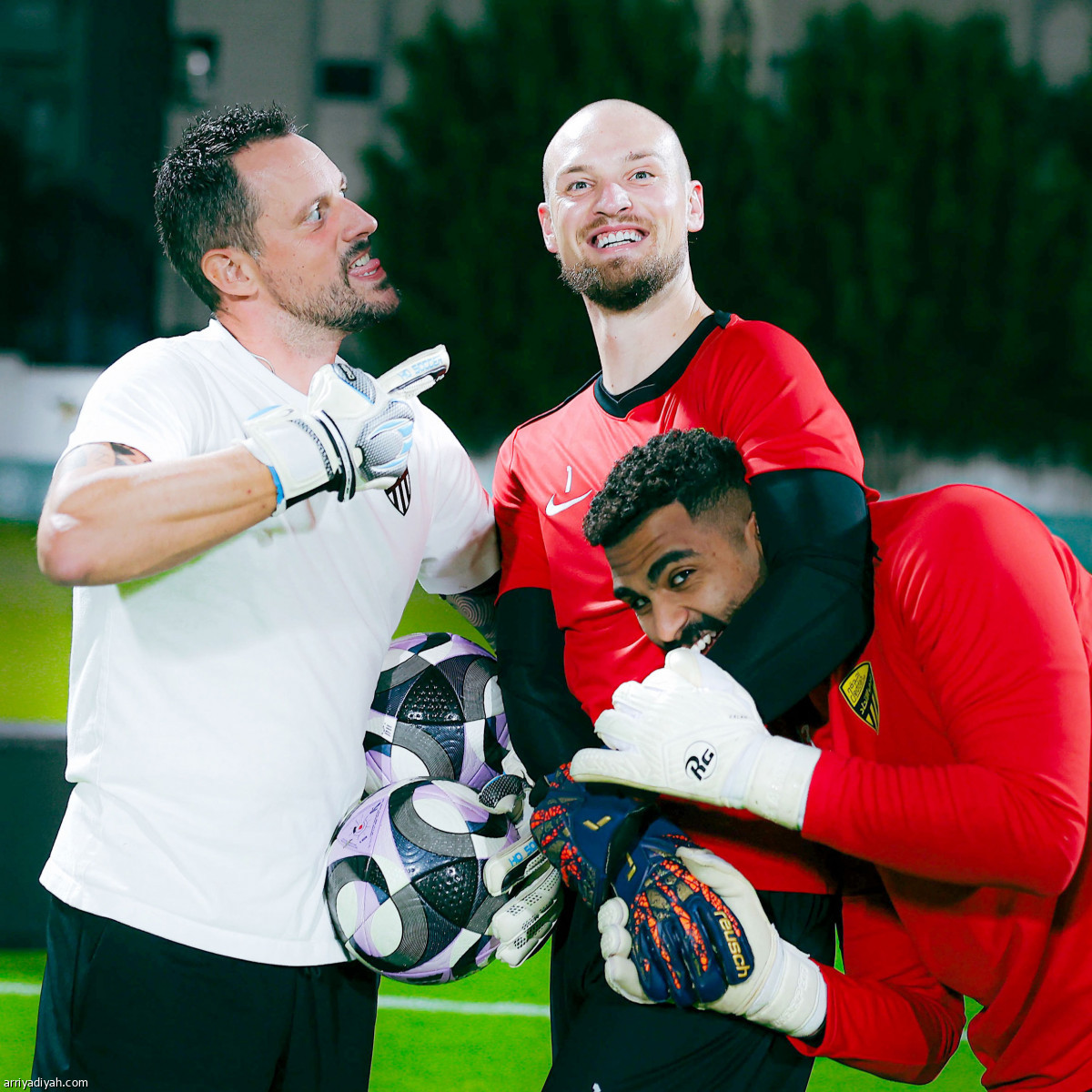 النمران جاهزان