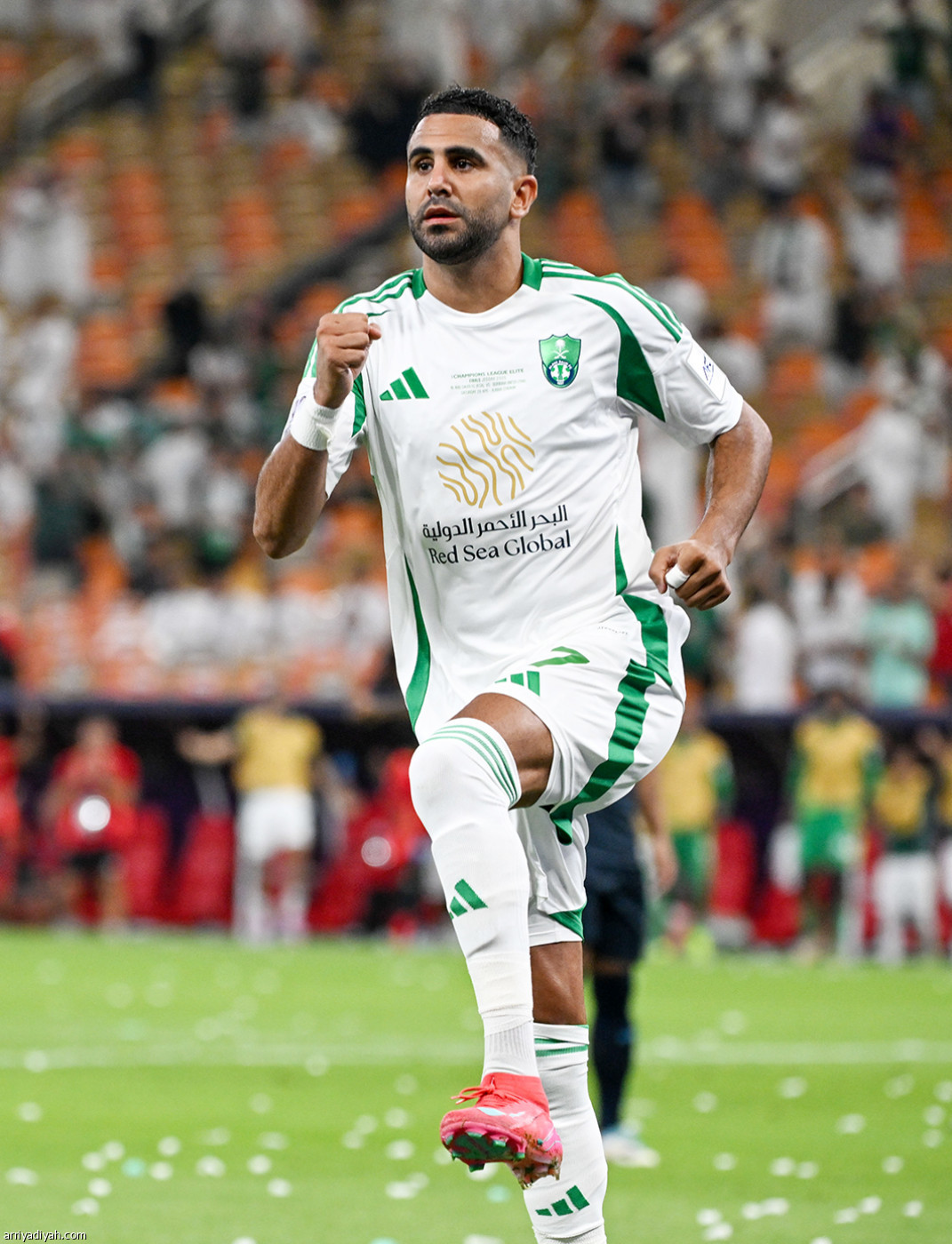 بالثلاثة.. الأهلي يصعد