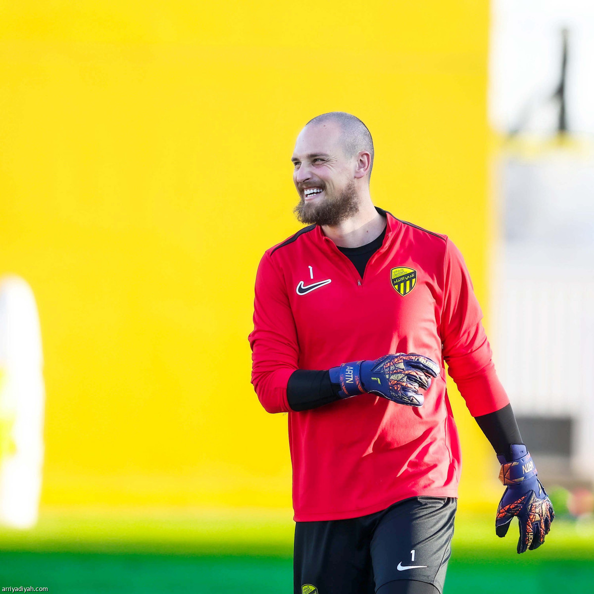 «النمور» تعاود الركض