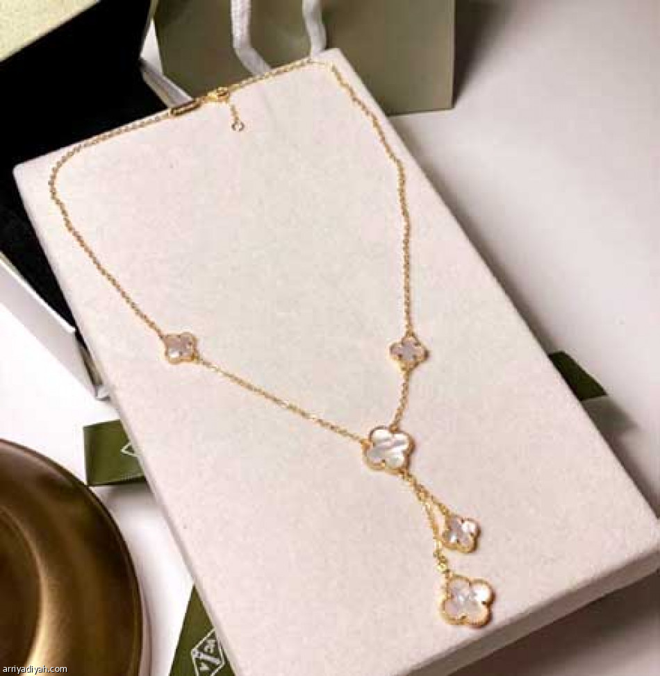 الخبرات
تقود بيان إلى «دير»