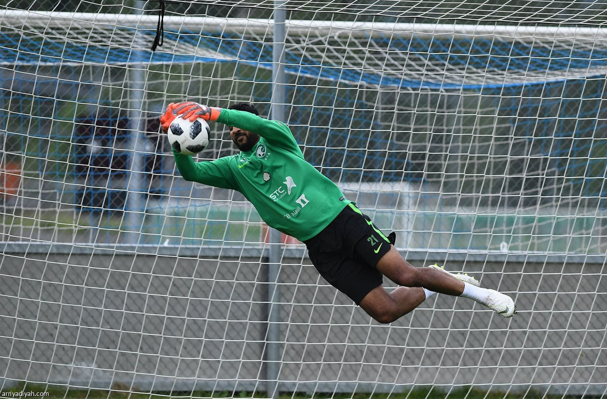 الأخضر يستعد للألمان