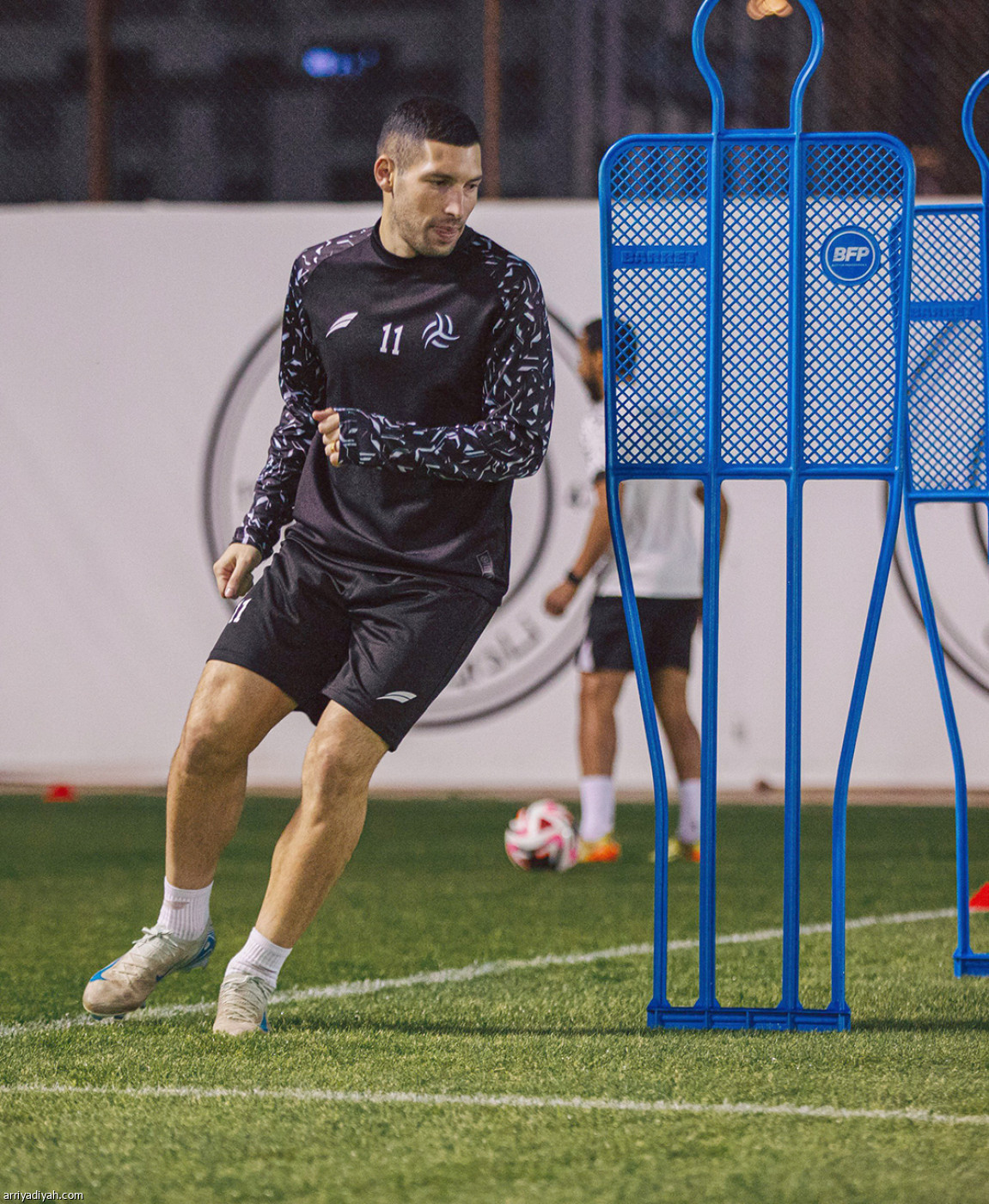 الليوث تستأنف