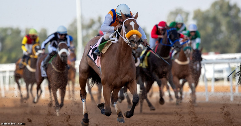 سباقات الطائف.. 3 أفراس و9 جياد تفوز بالحفل «23»