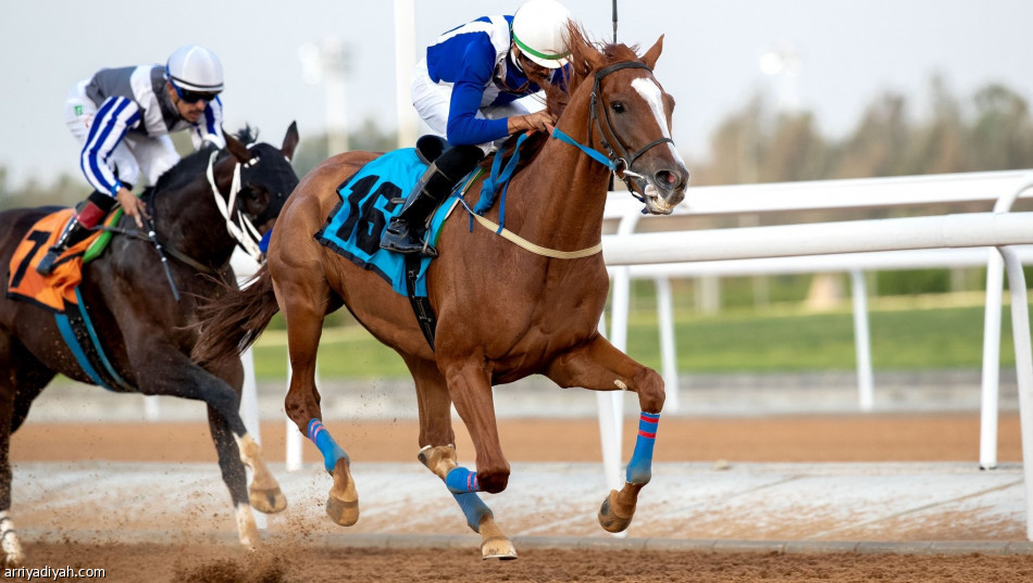 سباقات الطائف.. 3 أفراس و9 جياد تفوز بالحفل «23»
