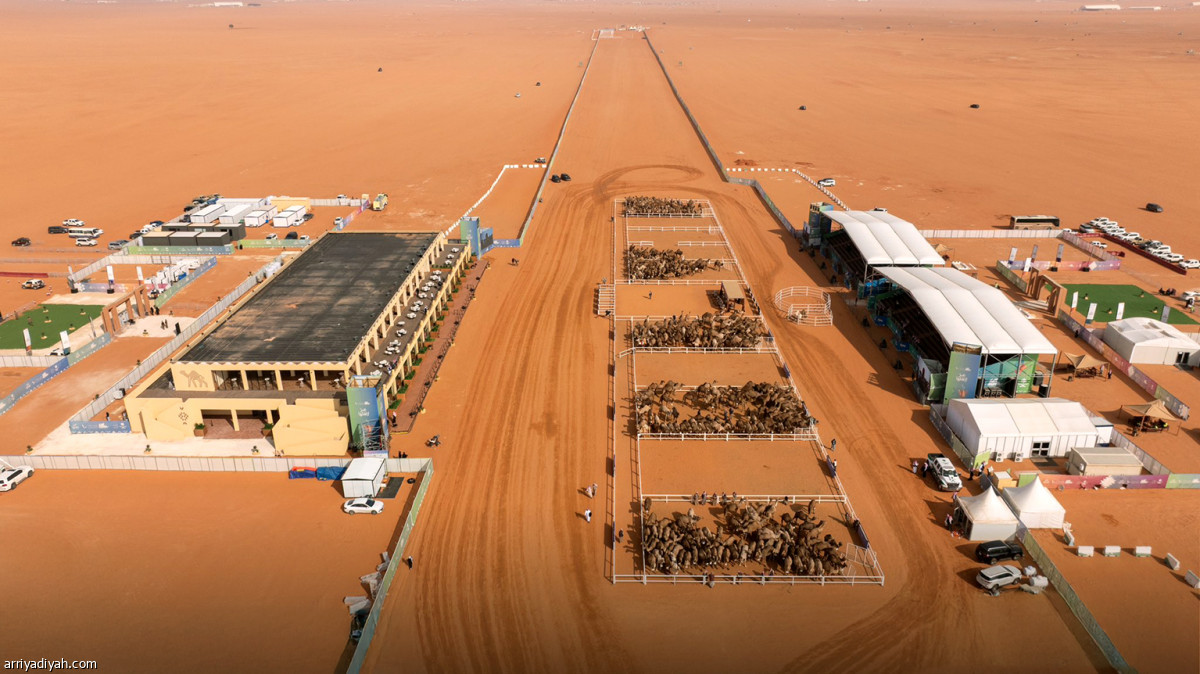 منافسات اليوم 25