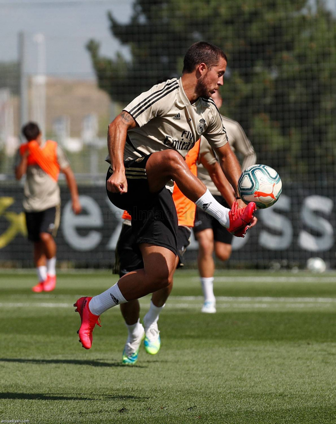 الريال.. تحضيرات ما قبل العودة