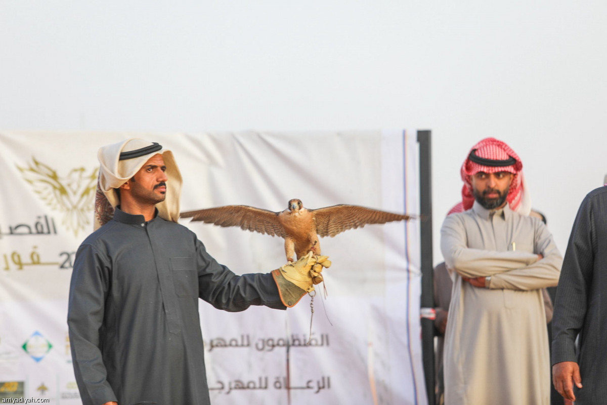 انطلاقة الصقور