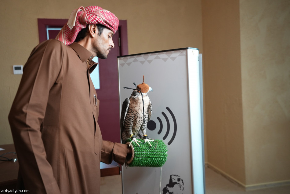 بدء تسجيل المشاركين في المسار الأول في كأس العلا للصقور