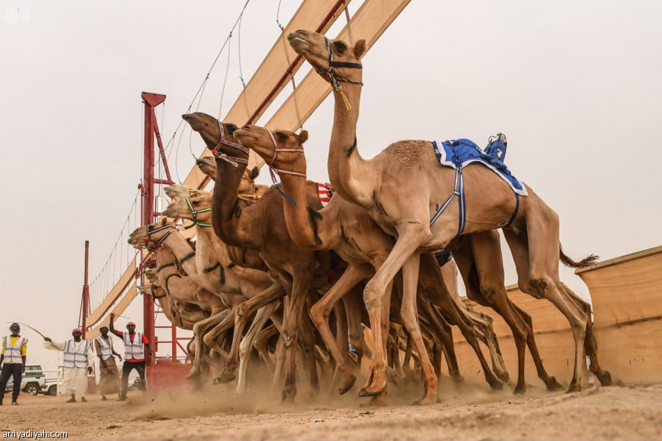 الراية 
يقترب من اللقب.. ودلما تسجل أفضل توقيت