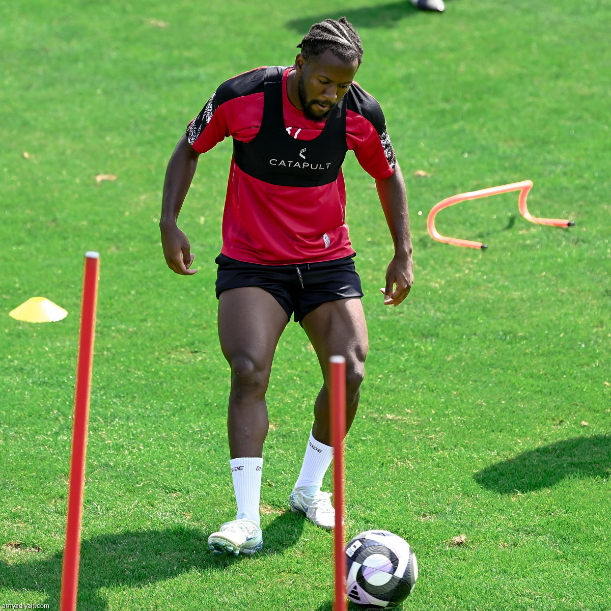 ألجواسيل يكثف اللياقة