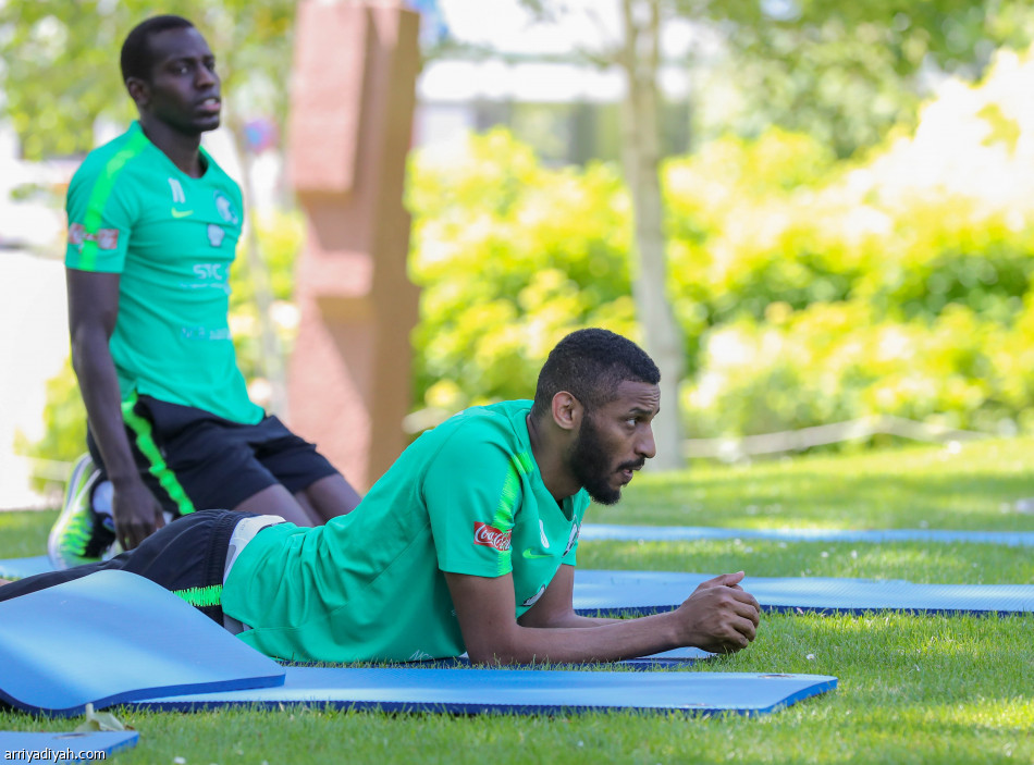 تمارين صباحية للأخضر