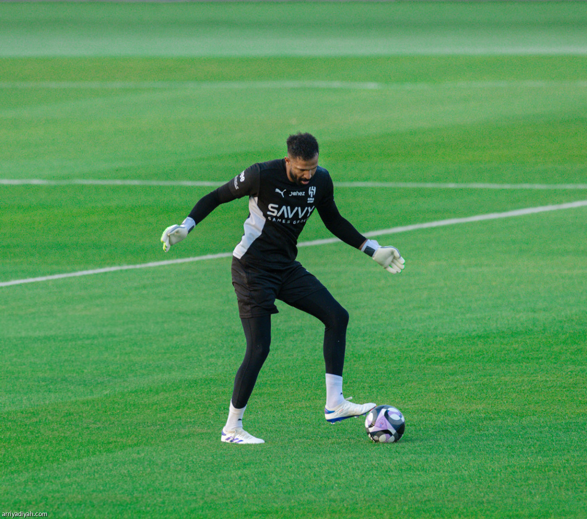 تحضيرات الهلال