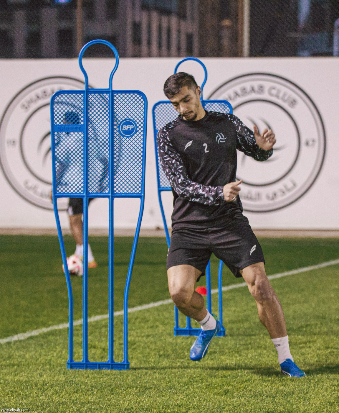 الليوث تستأنف