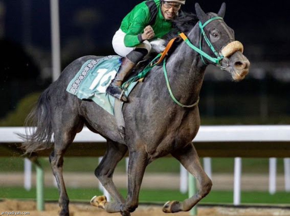 نادي سباقات الخيل يختتم أحد أفضل المواسم في تاريخه