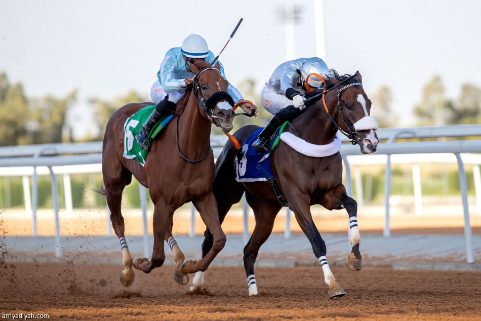 «نافذة» تحصد كأس مهرجان الورد الطائفي
