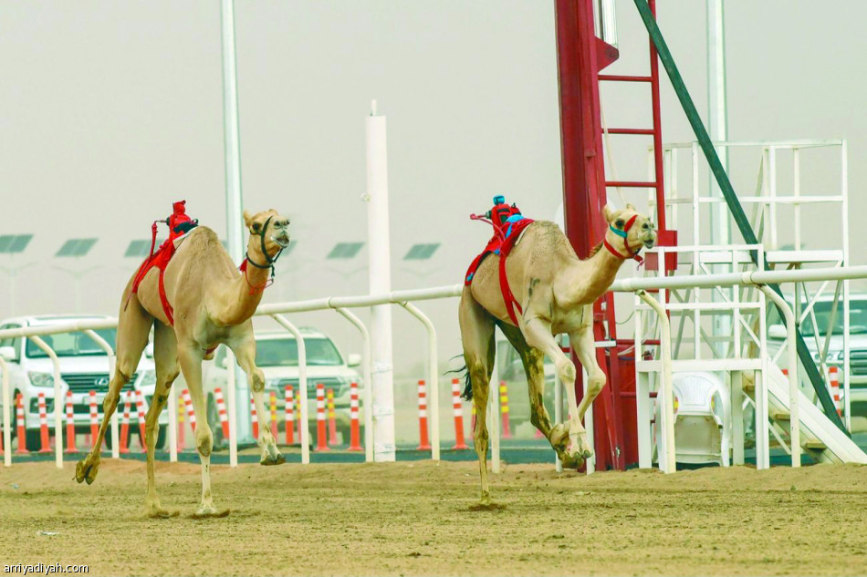 الراية 
يقترب من اللقب.. ودلما تسجل أفضل توقيت